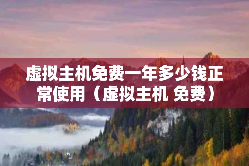 虚拟主机免费一年多少钱正常使用（虚拟主机 免费）
