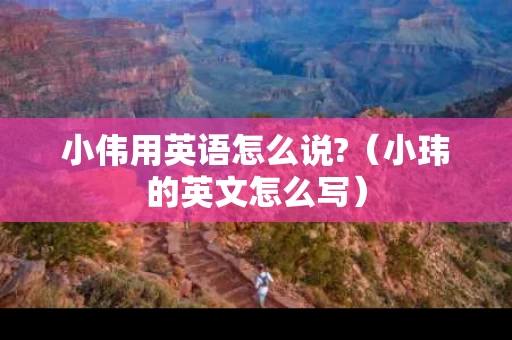 小伟用英语怎么说?（小玮的英文怎么写）