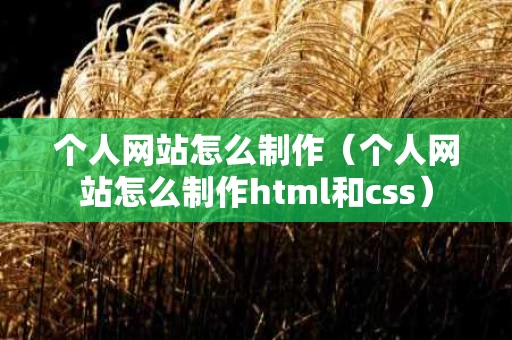 个人网站怎么制作（个人网站怎么制作html和css）