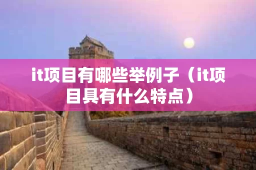 it项目有哪些举例子（it项目具有什么特点）