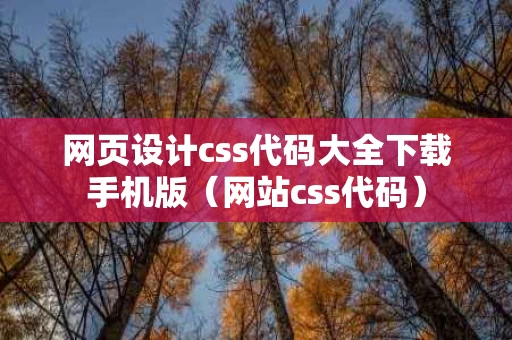 网页设计css代码大全下载手机版（网站css代码）
