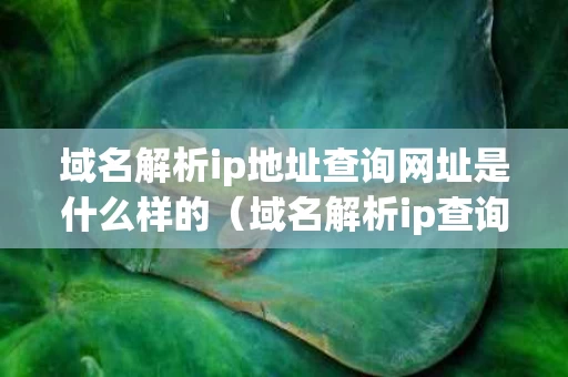 域名解析ip地址查询网址是什么样的（域名解析ip查询查询网）