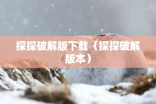探探破解版下载（探探破解版本）
