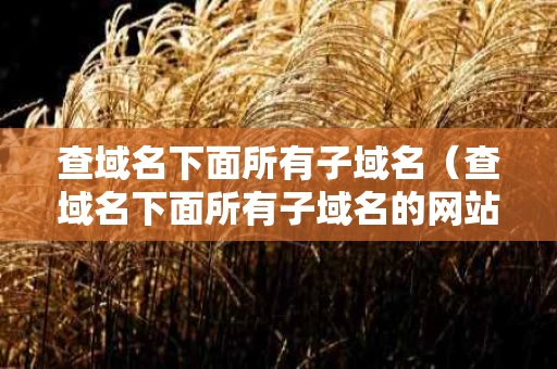 查域名下面所有子域名（查域名下面所有子域名的网站）