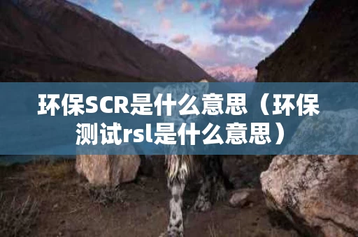 环保SCR是什么意思（环保测试rsl是什么意思）