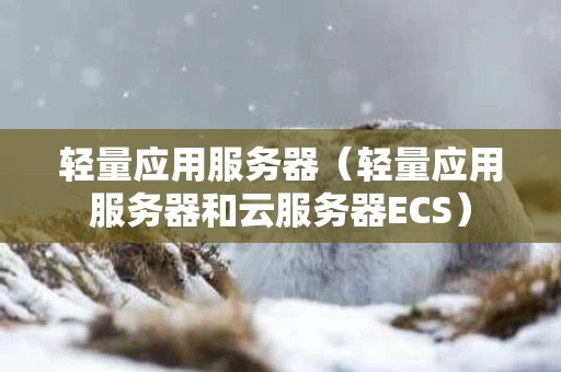 轻量应用服务器（轻量应用服务器和云服务器ECS）