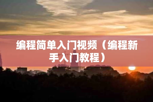 编程简单入门视频（编程新手入门教程）