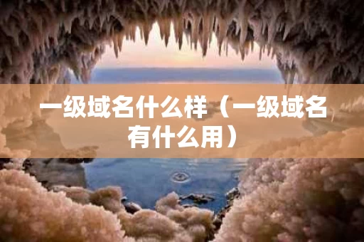 一级域名什么样（一级域名有什么用）