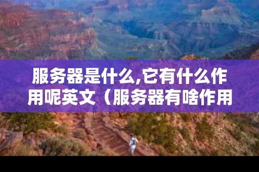 服务器是什么,它有什么作用呢英文（服务器有啥作用）