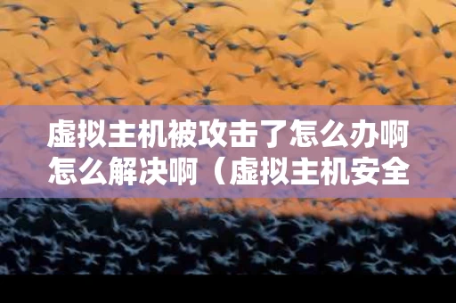 虚拟主机被攻击了怎么办啊怎么解决啊（虚拟主机安全吗）