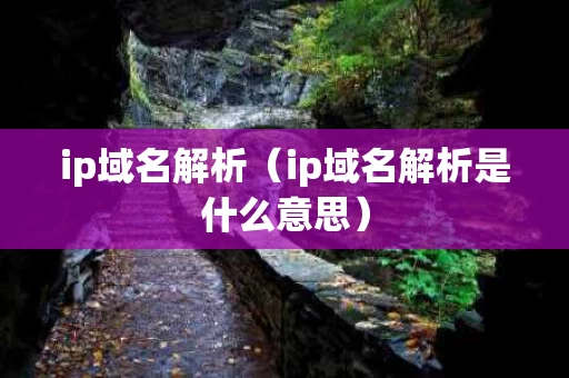 ip域名解析（ip域名解析是什么意思）