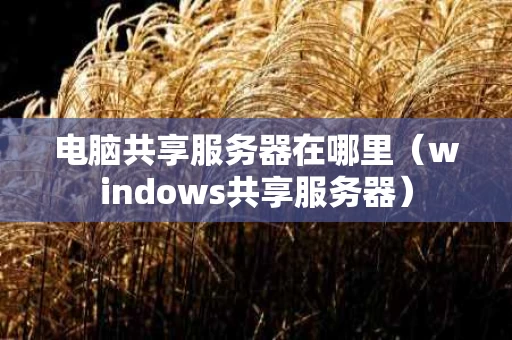 电脑共享服务器在哪里（windows共享服务器）