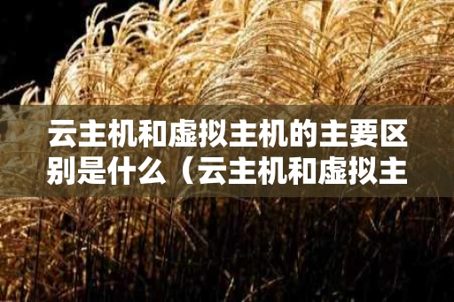 云主机和虚拟主机的主要区别是什么（云主机和虚拟主机的主要区别是什么意思）