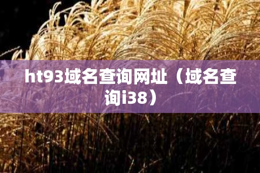 ht93域名查询网址（域名查询i38）