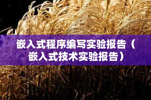 嵌入式程序编写实验报告（嵌入式技术实验报告）