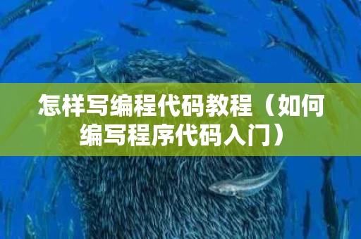 怎样写编程代码教程（如何编写程序代码入门）