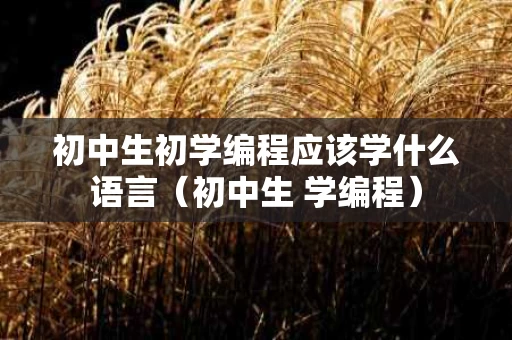 初中生初学编程应该学什么语言（初中生 学编程）