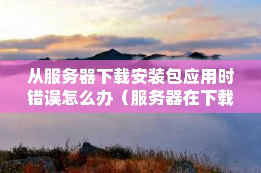 从服务器下载安装包应用时错误怎么办（服务器在下载过程中）