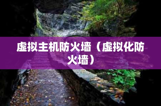 虚拟主机防火墙（虚拟化防火墙）