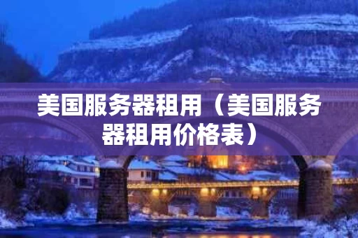 美国服务器租用（美国服务器租用价格表）