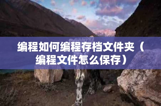 编程如何编程存档文件夹（编程文件怎么保存）