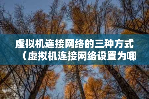虚拟机连接网络的三种方式（虚拟机连接网络设置为哪种方式）