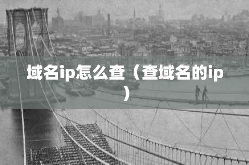 域名ip怎么查（查域名的ip）