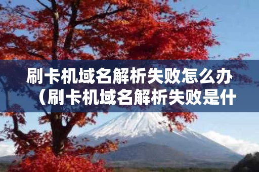 刷卡机域名解析失败怎么办（刷卡机域名解析失败是什么意思）