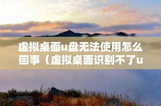 虚拟桌面u盘无法使用怎么回事（虚拟桌面识别不了u盘）