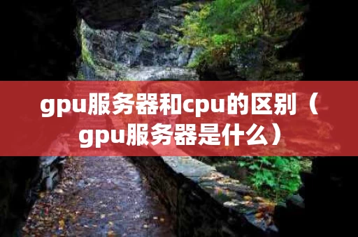 gpu服务器和cpu的区别（gpu服务器是什么）