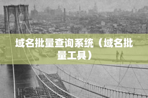 域名批量查询系统（域名批量工具）