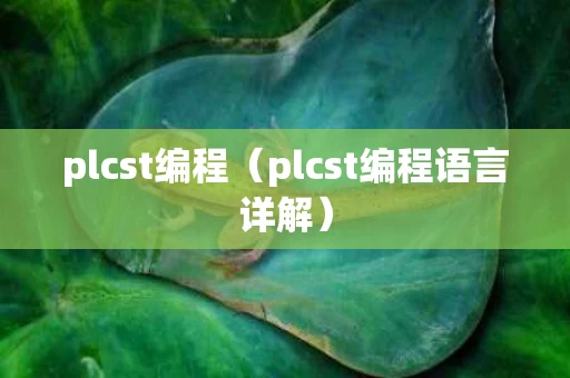 plcst编程（plcst编程语言详解）