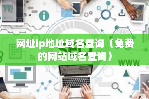 网址ip地址域名查询（免费的网站域名查询）
