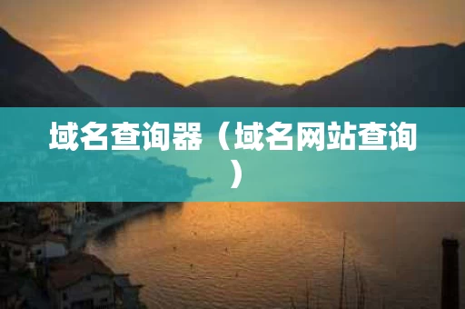 域名查询器（域名网站查询）