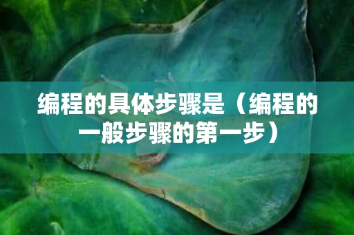 编程的具体步骤是（编程的一般步骤的第一步）