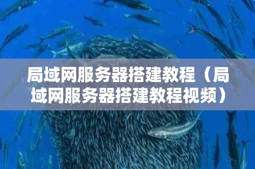 局域网服务器搭建教程（局域网服务器搭建教程视频）