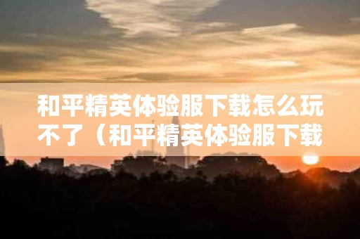 和平精英体验服下载怎么玩不了（和平精英体验服下载了进不去怎么办）