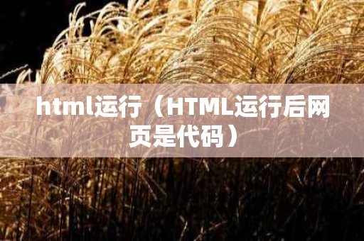 html运行（HTML运行后网页是代码）