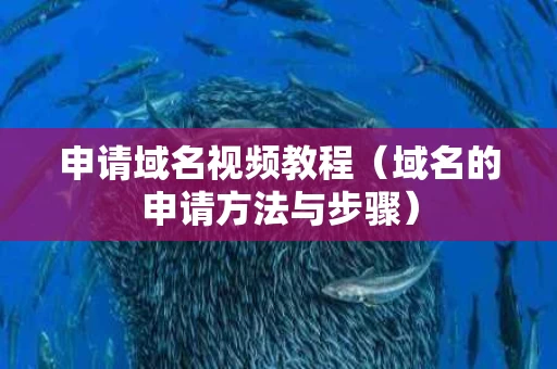申请域名视频教程（域名的申请方法与步骤）