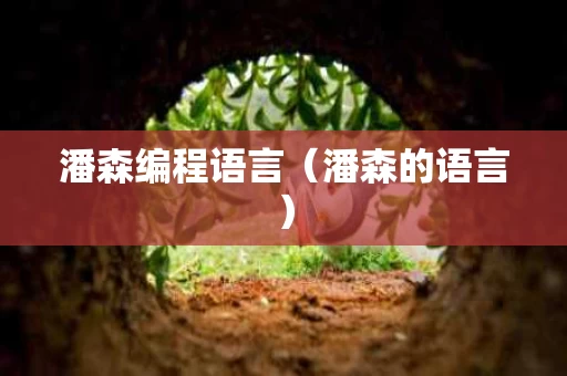 潘森编程语言（潘森的语言）