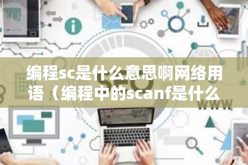 编程sc是什么意思啊网络用语（编程中的scanf是什么意思）