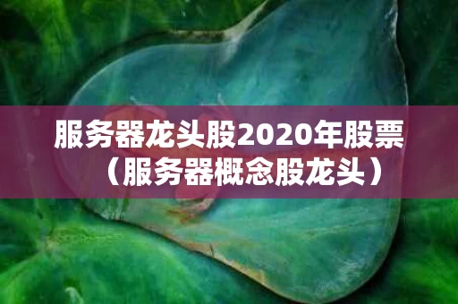 服务器龙头股2020年股票（服务器概念股龙头）