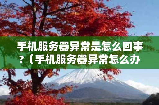 手机服务器异常是怎么回事?（手机服务器异常怎么办）