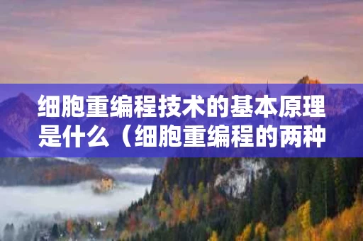细胞重编程技术的基本原理是什么（细胞重编程的两种方法）
