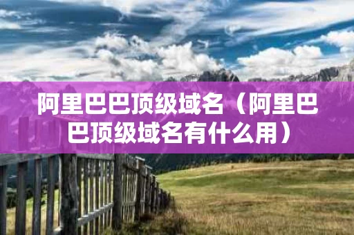 阿里巴巴顶级域名（阿里巴巴顶级域名有什么用）