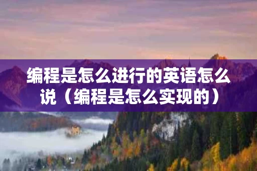 编程是怎么进行的英语怎么说（编程是怎么实现的）