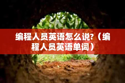 编程人员英语怎么说?（编程人员英语单词）