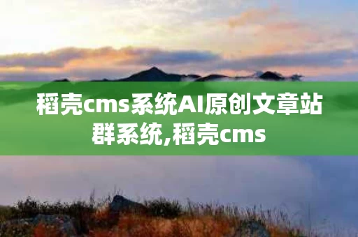 稻壳cms系统AI原创文章站群系统,稻壳cms