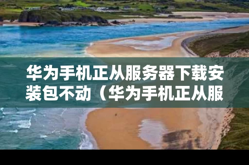 华为手机正从服务器下载安装包不动（华为手机正从服务器下载安装包不动了）
