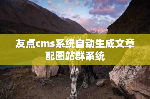 友点cms系统自动生成文章配图站群系统